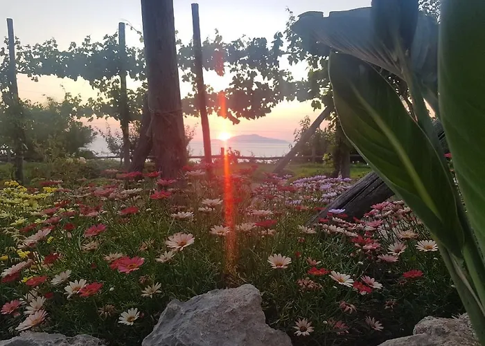 Del Sole * Anacapri (Isola di Capri)