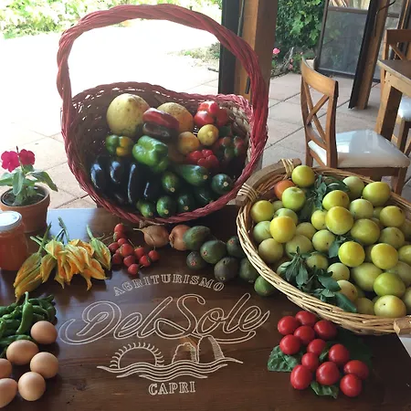 Farm stay Del Sole *
