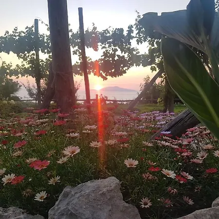 Del Sole * Anacapri (Isola di Capri)