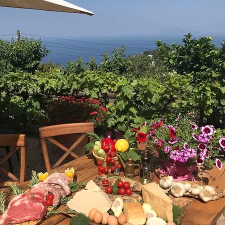 Çiftlik konaklama Del Sole Anacapri (Isola di Capri)