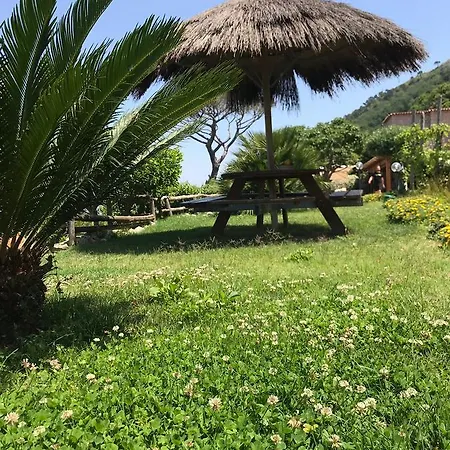 Del Sole * Anacapri (Isola di Capri)