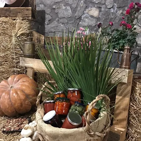 Farm stay Del Sole *