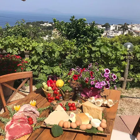 Çiftlik konaklama Del Sole *