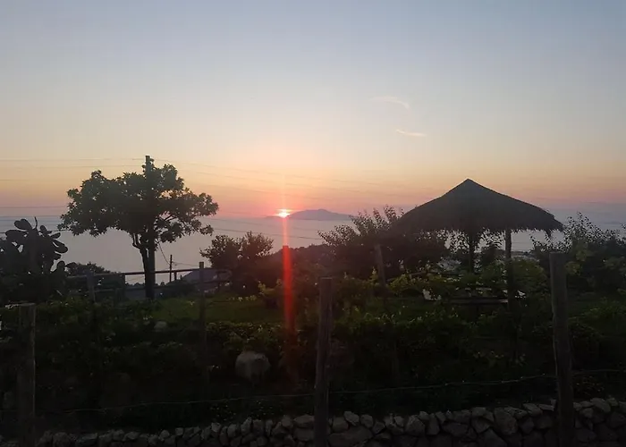 Del Sole * Anacapri (Isola di Capri)