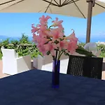 太阳农家乐