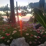 太阳农家乐 * 阿纳卡普里